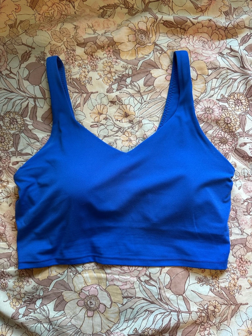 aerie Seamless V-Neck Sports Bra in Blue